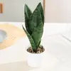 Planta Hypoxis em Vaso com Folhas Altas, Nervuras Prateadas, Pernas Longas, Folhas Verdes, Planta em Vaso Simulada, Sala de Estar Interna, Escritório Fabricante Atacado
