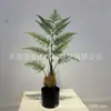 Estilo Nórdico macaco dourado biônico Samambaia Rede vermelha planta verde cabeça de macaco Samambaia em vaso árvore artificial pelo dourado cachorro Samambaia ornamentos de sala de estar interna