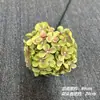 Coleção de Hortênsias 3D Flores Artificiais Flores Falsas Pequena Hortênsia para Exibição Modelo de Casamento Sala Decoração Suave Flores Artificiais