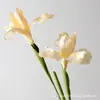 Íris Simulada Elegante Estilo Monet Arranjo de Flores Artificiais para Casamento Adereços Celebridade da Internet Criativa Decoração de Vitrine Flores Artificiais Simuladas