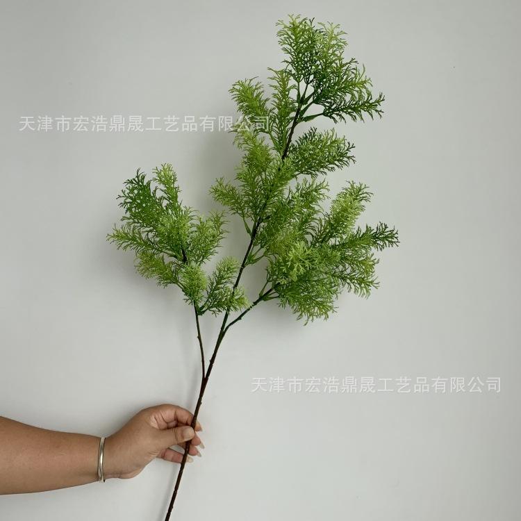 微信图片_20230904085321_副本