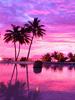 Nueva Serie de Paisajes DIY Pintura de Diamantes 5D Suministro Transfronterizo Pintura Decorativa Bordado Completo de Diamantes Gran Cantidad y Excelente Precio Fabricante Mayorista