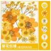 Paquete de Materiales DIY de Flores Secas Flores Prensadas Hechas a Mano Flores Conservadas Marcadores de Libros de Flores Prensadas Hojas de Árbol Real Plantas Pegatinas de Resina Maquillaje Facial