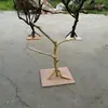 Galhos Secos, Galhos de Árvore Descascados, Arranjos de Flores, Troncos, Arte, Galhos Secos, Galhos Mortos com Galhos, Troncos de Árvore, Galhos de Árvore Criativos, Decoração de Teto