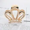 Pinza de pelo de metal estilo minimalista con forma de garra, accesorio para el cabello pequeño y mediano, adorno para el pelo coreano para la parte trasera de la cabeza con un toque de alta gama