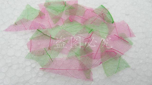 A001菩提叶脉 (35)