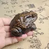 Talla en Madera Sólida de Madera de Águila de un Sapo Sosteniendo una Bola, Adorno Dorado para Llevar en la Mano de Sapo que Trae Fortuna, Pieza de Arte Coleccionable, Accesorio Portátil