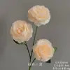 Arranjo de Chão com Flores Artificiais Cor de Champanhe, Rosa de Casamento, Hortênsia, Material de Flores para Corredor de Teto, Arranjo de Decoração para Auditório
