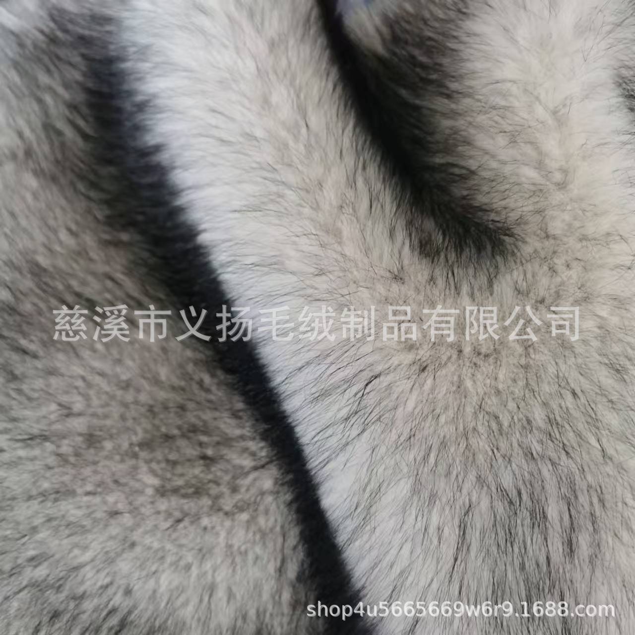 微信图片_20240919131215