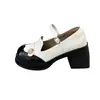 Sapatos de salto versáteis estilo Hepburn francês, nova coleção primavera/verão 2026 feminina, sapatos Mary Jane retro de salto grosso e bico redondo