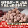 Sementes de Lótus Vermelho Secas, Miolo Removido, Sementes de Lótus Xiangtan de Hunan Autênticas, 500g, Sementes de Lótus Secas Sem Miolo, Estoque Novo para Atacado
