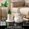 Linda piedra difusora de gatito para uso doméstico interior de larga duración, piedra aromática de cristal de alta calidad para aceites esenciales, decoración para dormitorio, habitación y sala de estar