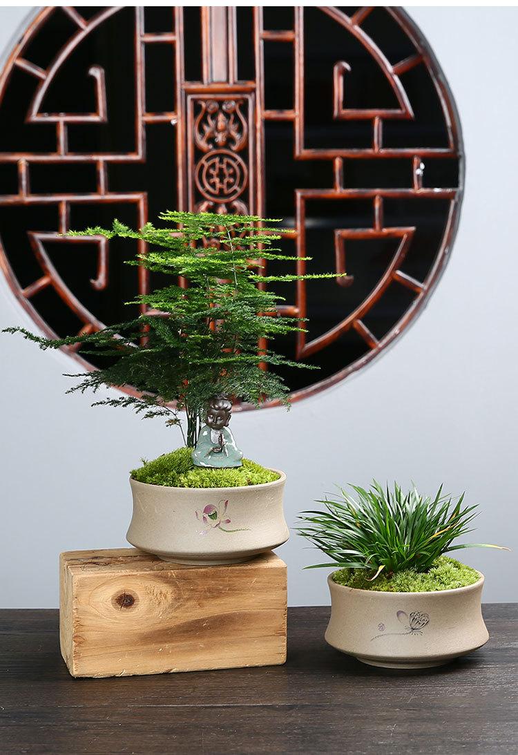 绿植花盆_03