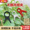 Clips para Vid de Invernadero, Clips de Fijación para Vid, Suministros de Injerto para Jardinería, Clips de Sujeción para Plantas de Pepino y Tomate, Suministros para Plantas Verdes de Hogar