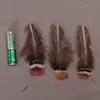 Venda Direta de Fábrica de Quase 100 Tipos de Acessórios Naturais de Penas Pequenas para Joias DIY, Acessórios de Cabeça, Broches, Chapéus, Materiais de Decoração para Artesanato