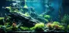 Pegatina de Fondo para Acuario Estéreo 3D de Alta Definición, Papel de Fondo Autoadhesivo Engrosado para Acuario, Papel Tapiz para Paisajismo de Acuarios