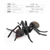 Simulación Transfronteriza Modelo de Araña Real Unicornio Insecto Juguetes para Niños Mariposa Abeja Adornos de Animales
