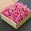 Flores Secas Gipsofila Flor Eterna Materiais Kit DIY Presentes de Festa Decorações de Natal Suprimentos de Casamento Acessórios Colorido