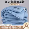 Colcha de algodão Xinjiang Classe A, colcha de inverno espessa de algodão puro, colcha de primavera e outono, enchimento 100% algodão, roupa de cama para dormitório estudantil, colcha de algodão