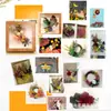Flores Secas DIY Flores Imortais Pétalas de Flores Naturais Relevadas Pacote de Material Relevado Vela de Aromaterapia Fabricante de Material Floral Atacado
