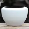 Maceta Cerámica Grande Suculenta Simple Blanca Pura Interior Planta Verde Buganvilia Bonsái Arena Morada Arcilla Transpirable Maceta Grande