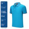 Camisa pólo de algodão penteado bordado impressão logotipo Empresa Roupas de trabalho Grupo Manga curta Roupas de trabalho masculinas e femininas Paul T-shirt Impressão