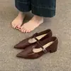 Sapatos Mary Jane de Couro Bico Fino Salto Bloco Estilo Francês 2025 Novo Primavera Sapatos Elegantes de Noite Boca Rasa Sapatos Únicos Sapatos Femininos