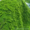Alfombra de musgo, musgo verde, césped artificial biónico, hierba, plantas verdes artificiales, decoración, paisajismo, bonsái, pelo corto, micro paisajismo