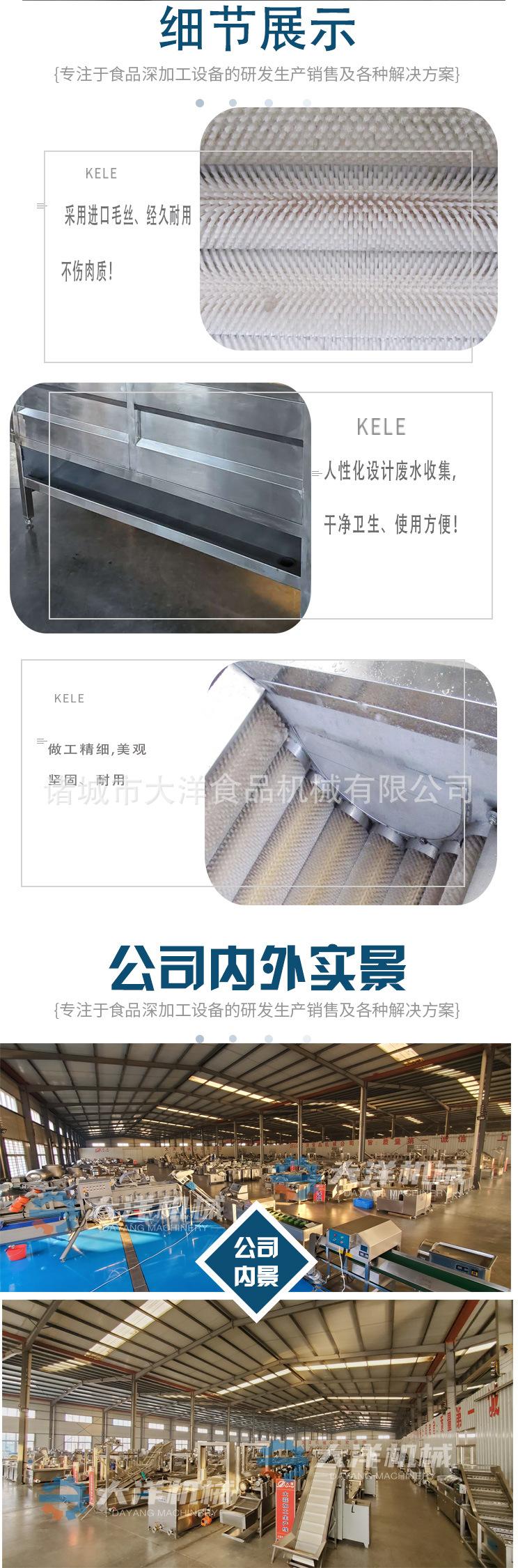 毛刷脱皮机详情4.jpg