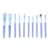 Set de Brochas de Maquillaje con Mango de Resina de 10 Piezas Pelo Animal de Cangzhou Brocha para Sombras de Ojos Brocha para Polvos Ultra Suave Herramientas de Maquillaje