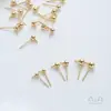 Aretes de Titanio Acero Frijol No Descolorables Acero Inoxidable Bola con Anillo Colgante Aretes Materiales para Aretes Hechos a Mano DIY