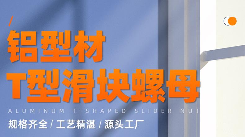 蓝白锌铝型材T型滑块螺母_01_01.jpg