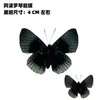 Venta Directa al Por Mayor de Fábrica de Especímenes Reales de Mariposas con Alas Extendidas, Diversos Insectos y Escarabajos, Accesorios para Fotos, Educación Científica, Especímenes Naturales