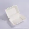 Cajas de Cierre de Empaque Desechables Estilo Americano Caja para Llevar de Bagazo de Caña Contenedores de Alimentos Biodegradables
