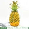 Modelo de Melón Hami de Simulación Modelo de Fruta Falsa de Plástico Decoración de Exhibición de Gabinete de Tienda de Frutas Supermercado Accesorio para Fotografía