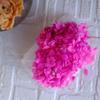 Hortensia Inmortal a Granel Hortensia Anna a Granel Pétalo Flor Seca Flor Inmortal Material Hecho a Mano Decoración Accesorios de Regalo