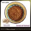 (a partir de 500g) Pó de Extrato de Patchouli Medicinal e Comestível, Extraído Naturalmente 10:1 Extrato de Patchouli Solúvel em Água