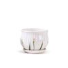 Maceta de Cerámica Estilo Crema Planta Maceta para el Hogar Exquisita Blanca Lujo Accesible Creativa Orquídea Suculenta Planta Verde