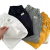 Shorts Finos de Novo Estilo para Meninos e Meninas, Calças de Cor Sólida de Comprimento Médio para Crianças Pequenas no Verão, Calças de Cinco Pontos Listradas Modernas e Respiráveis para Bebês, Adequadas para Uso ao Ar Livre
