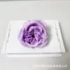 Cabeças de Flores Rosa Austin 10cm Arco de Parede de Flores Arranjo de Flores Grampo de Cabelo Adorno de Cabeça DIY Celebração de Casamento Flores Artificiais Flores de Casamento