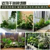 Simulación Planta Verde Paisajismo Maceta de Flores Divisor de Piso Floristería Artística Paisaje de Plantas Combinación de Macetas de Flores Planta en Maceta Artificial Bonsái Decoración