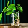Jarrón de Vidrio Recto de Alto Borosilicato al por Mayor Transparente Recipiente para Arreglos Florales Decoración Planta Verde Paisaje Hidropónico Jarrón de Vidrio