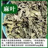 Shampoo Folha de Cânhamo Folha de Cânhamo Medicina Chinesa à Base de Ervas Shampoo Folha de Cânhamo 500g Medicina Chinesa à Base de Ervas Atacado Folha de Cânhamo