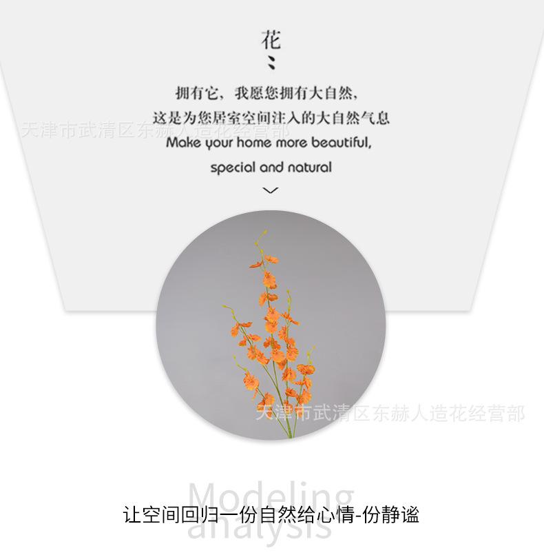 详情_05.png