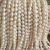 Perlas de Agua Dulce en Forma de Arroz para Otoño e Invierno, Accesorios DIY, Perlas Ovaladas Blancas Opacas Imperfectas, Productos Semi-Terminados, Collar al por Mayor