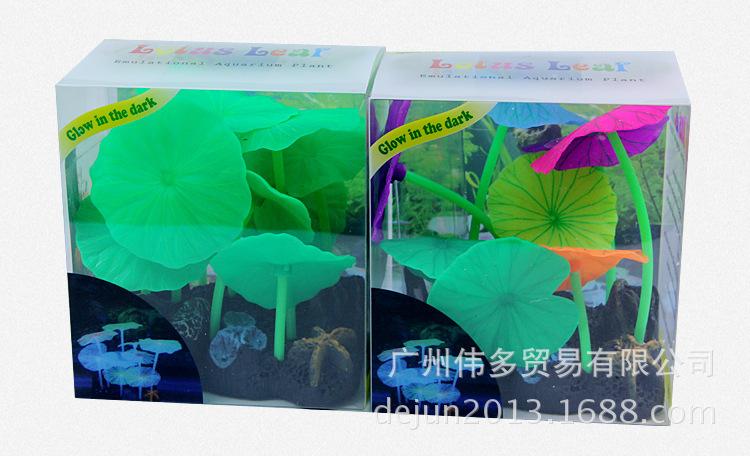 荷叶蘑菇造景_20