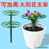 Suporte Girassol Suporte Pirulito Flor Suporte Trepadeira Enxerto Estrutura de Suporte Fixo Camada Única Múltiplas Camadas Orquídea Garra de Caranguejo