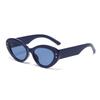 Novos Óculos de Sol Pequenos com Armação de PC e Decoração Estilosa de Estrela de Cinco Pontas, Óculos de Sol Cat-Eye Retrô Unissex, Elegantes e de Alta Qualidade