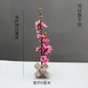 Decoração de Apresentação de Pratos de Restaurante de Hotel com Flores e Plantas, Decoração de Bandeja de Sashimi e Frutos do Mar, Guarnição de Sushi Japonês, Enfeites Criativos