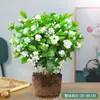Mudas de Jasmim em Vaso de Flores Dobradas, Forte Aroma para Varanda Interna com Botões, Plantas Floríferas Fáceis de Cultivar que Florescem em Todas as Estações